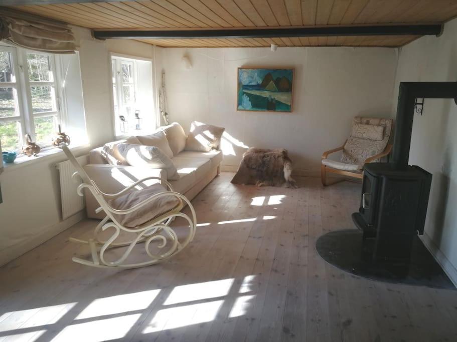 Gemuetliches Reetdachhaus Mit Kaminofen Ribe Exterior foto