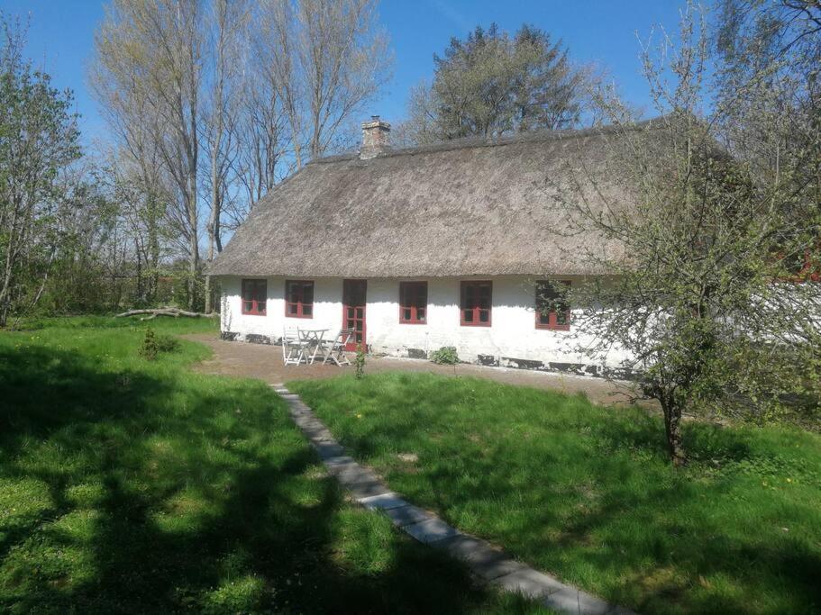 Gemuetliches Reetdachhaus Mit Kaminofen Ribe Exterior foto