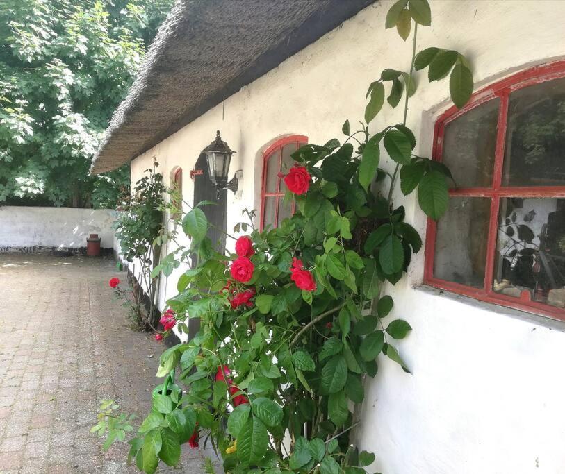 Gemuetliches Reetdachhaus Mit Kaminofen Ribe Exterior foto