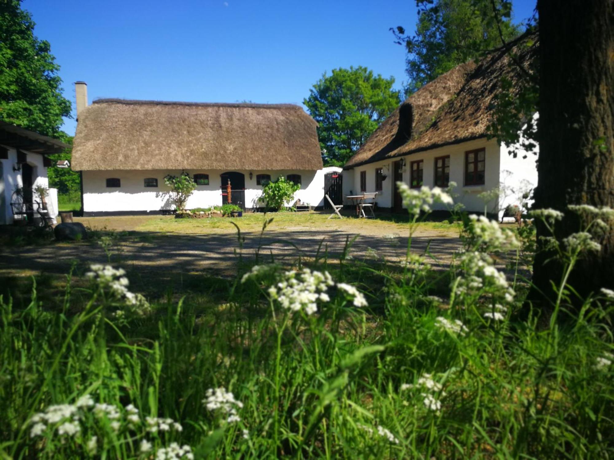 Gemuetliches Reetdachhaus Mit Kaminofen Ribe Exterior foto